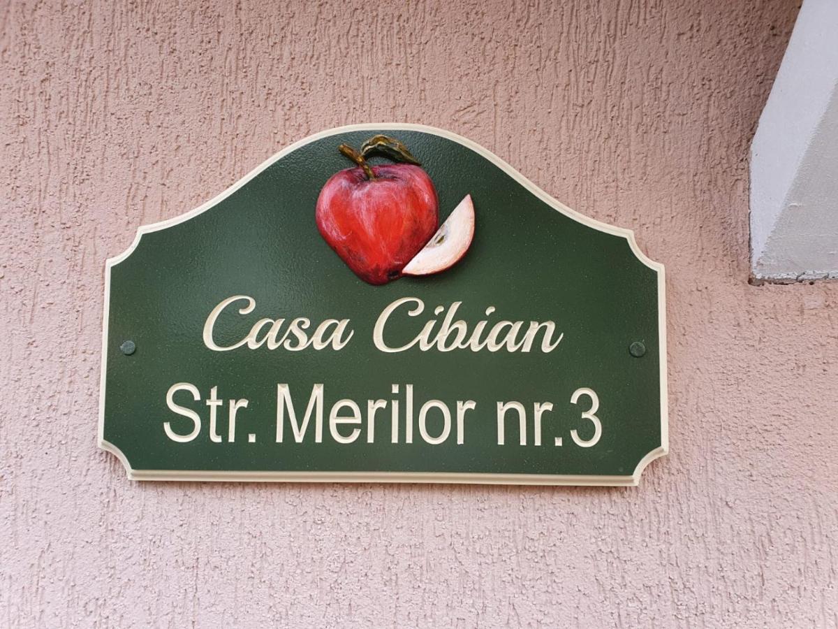 Casa Cibian Lejlighed Braşov Eksteriør billede
