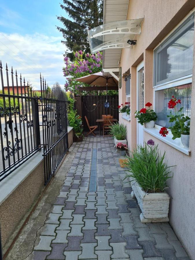 Casa Cibian Lejlighed Braşov Eksteriør billede